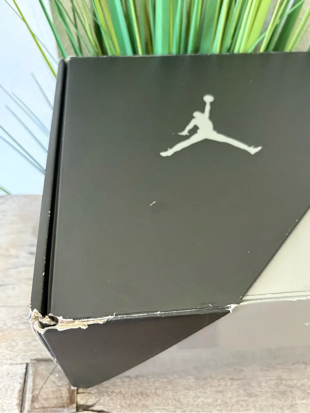 Jordan air 11